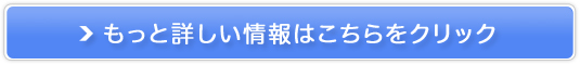 dCƃKX {ꗥ5̔TCg